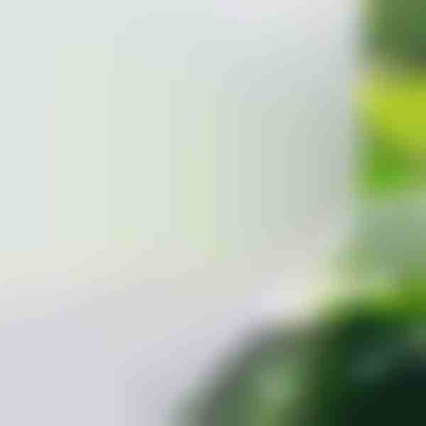 Fólie na Sklo Protipohledová Fólie na Okna | WINDOWFILM