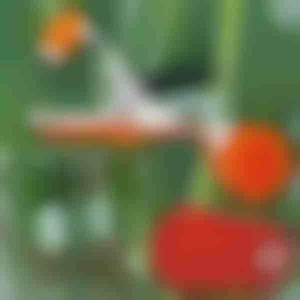 Profesionálna zošívačka rastlín | PLANTBRAND