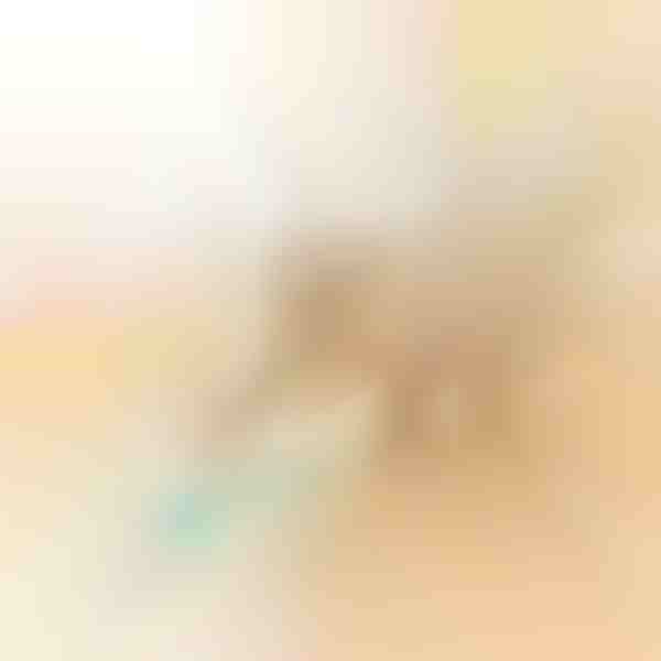 Automatická gulička pre domáce zvieratá | BALLY