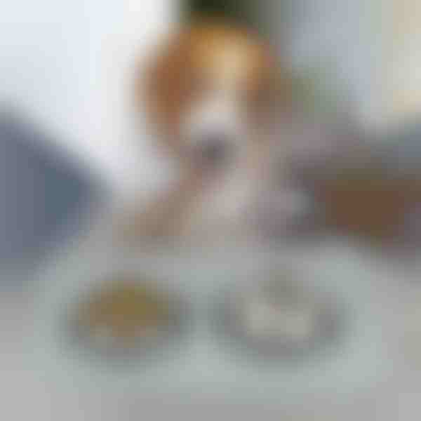 Podložka na kŕmenie domácich zvierat | KIBBLEMAT