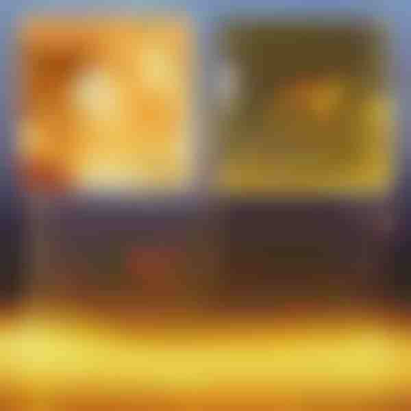 Slávnostná LED svetelná sieť | LUMONET