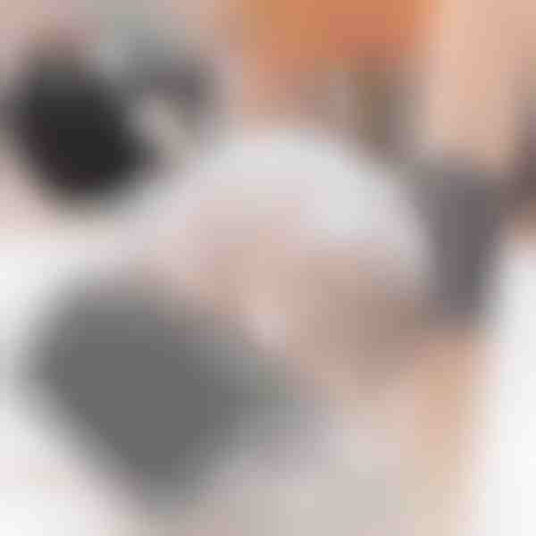 Samoobslužná starostlivosť pre mačky (2ks) | PURRCORNER