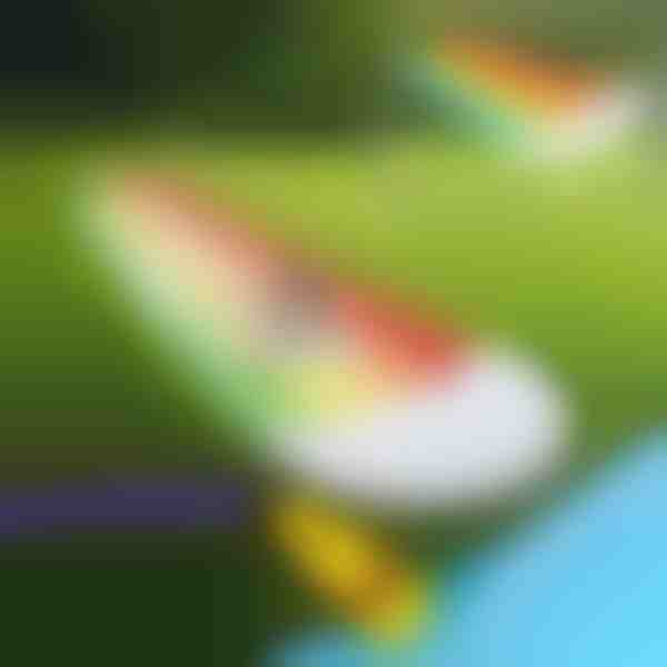 Nafukovacia šmykľavka (465 x 80 cm) | REEFLY