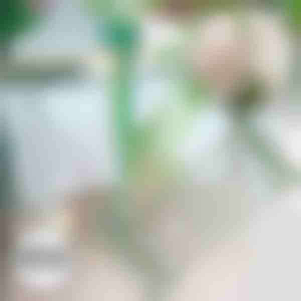 Zastavovač pádu rastlín | ROOTZI