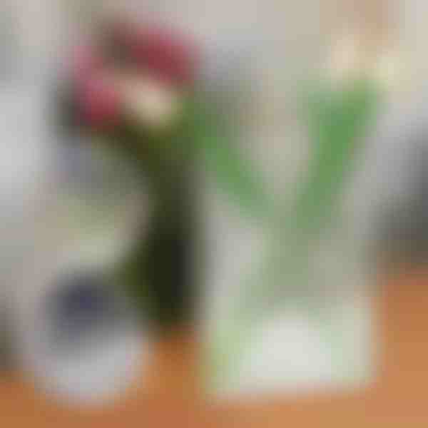 Elegantná váza na kvety v tvare knihy | FLOWERFRAME