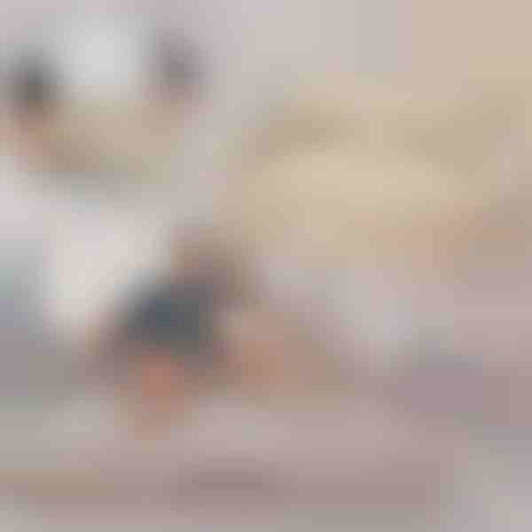 Nafukovacia Rozkladacia Pohovka na Posteľ | SOFLINKA