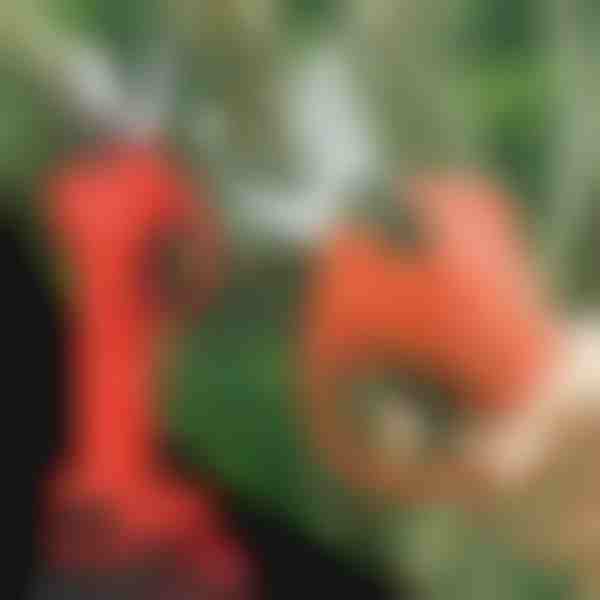 Elektrické nožnice | WHIZZPRUNER