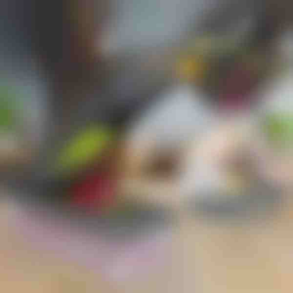 Sekáčik a krájač zeleniny 12 v 1 | CHOPMASTER