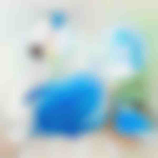 Elektrické kefy na prach s 360-stupňovou rotáciou | DUSTER