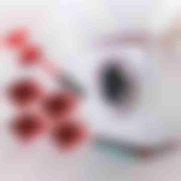 Súprava na sťahovanie nábytku so 4 posuvníkmi a zdvihákom | LIFTROLLERS