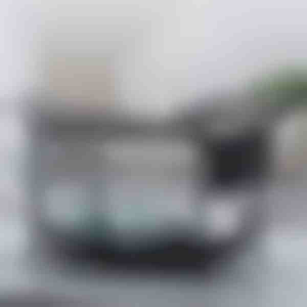 Viacúčelový stojan na odkvapkávanie riadu | EVODISH