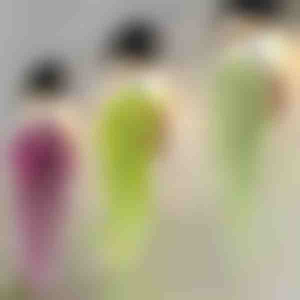 Dekoratívne závesné rastliny | IVYORA