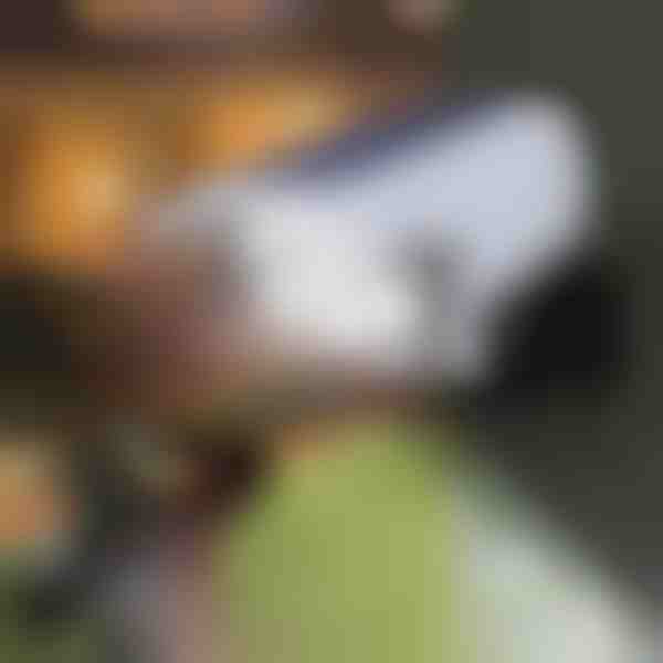 Solárny zameriavač so senzorom pohybu | LUMACAM