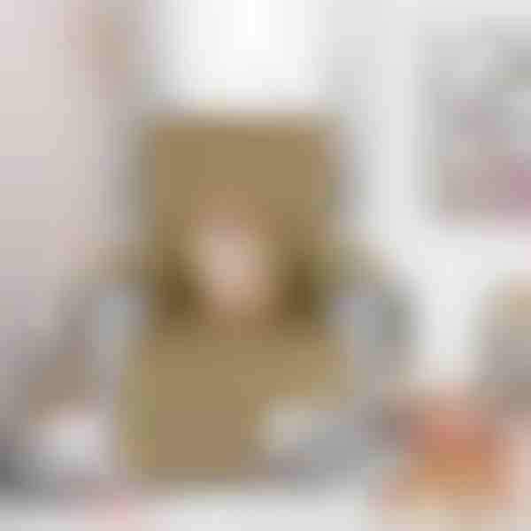 Poťah na kreslo | LUXSIT