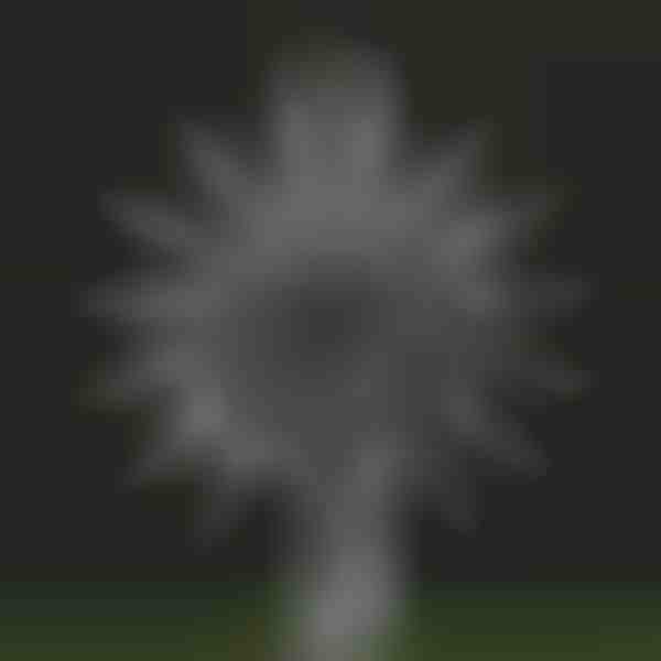 Kinetický veterný mlyn | WINDARA