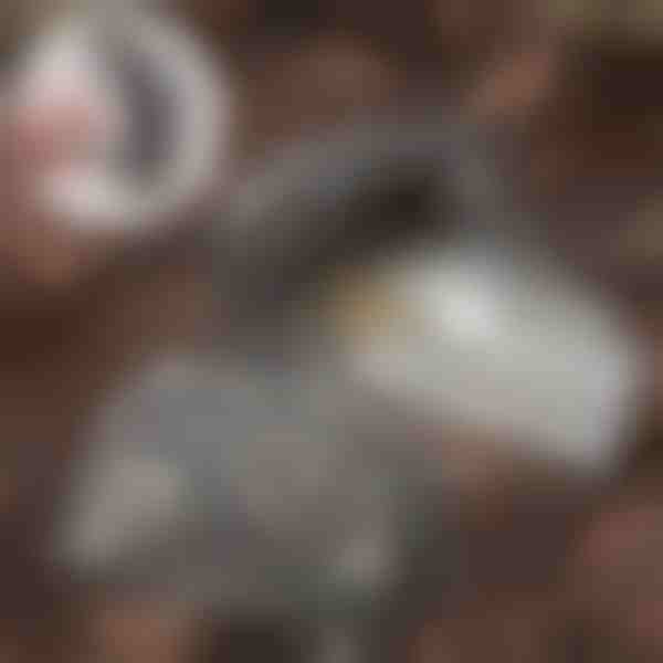 Kameň na ukrytie kľúčov | KEYBLEND