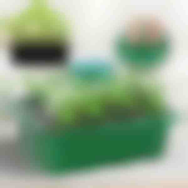 Miska na pestovanie sadeníc s priehradkami | PLANTURKA