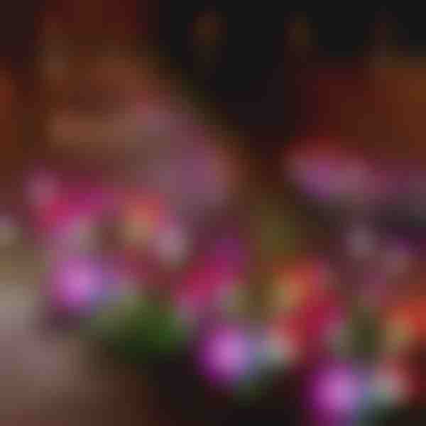 Solárne záhradné kvetinové svetlá | BLOSSUN