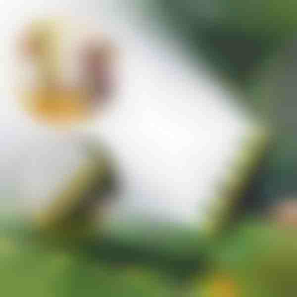 Viachlavový hadicový zavlažovač | SPRAYMASTER