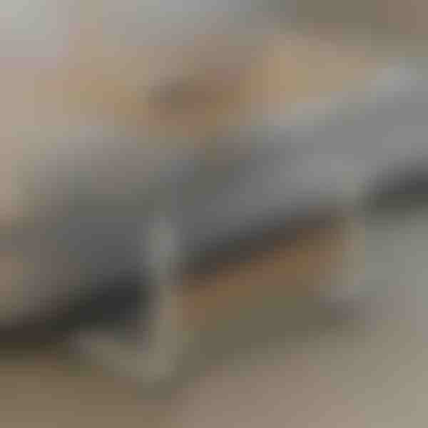 Prenosný stôl | EVOSTUL