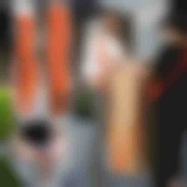 Popruhy na zdvíhanie a premiestňovanie (2ks) | DUOLIFTERS