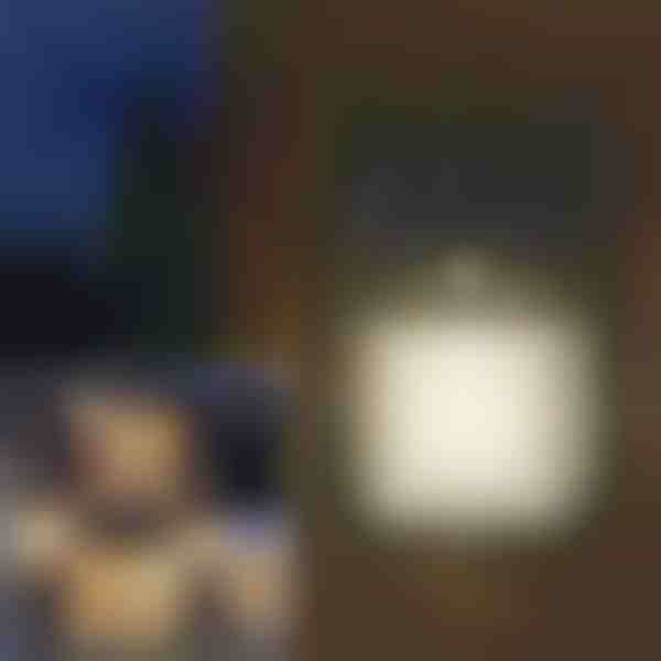 Vonkajšie solárne senzorové svetlo pohybu | FLUXLAMP