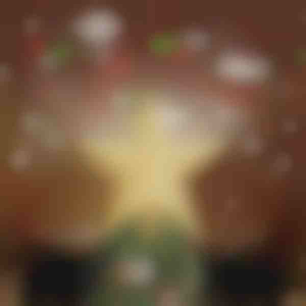 Vianočná hviezda s projektorom | FLAKELITE