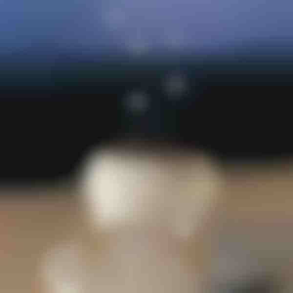 Upokojujúci aróma difuzér | MEDUSAMIST